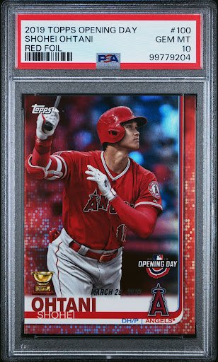 Photo from customer review