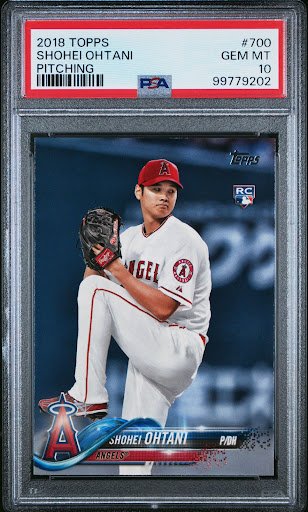 Photo from customer review