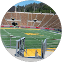 Daniel Cook profile picture